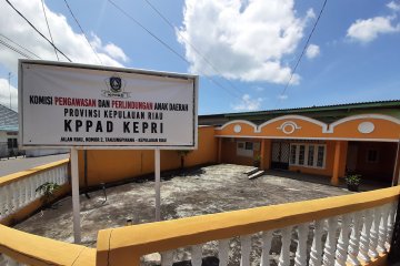 Pemprov Kepri nilai KPPAD belum perlu dibentuk