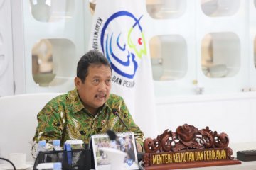 KKP targetkan bangun 55 industri pengolahan ikan di pelabuhan terpadu