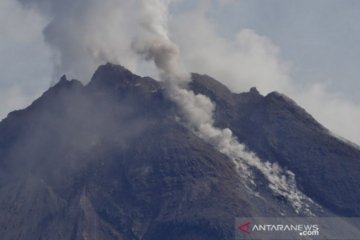 Gunung Merapi luncurkan guguran lava pijar sejauh 1,5 km