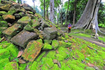 Perawatan situs Candi Koto Mahligai