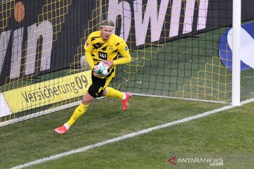 Gol Haaland hindarkan Dortmund dari kekalahan saat menjamu Hoffenheim