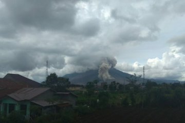 Gunung Sinabung meluncurkan guguran abu hingga sejauh 1.000 meter