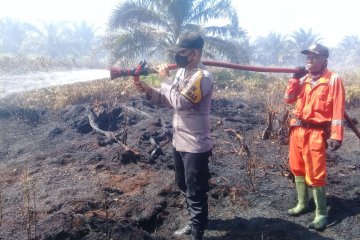 Cuaca panas picu meluasnya kebakaran lahan sawit di Agam-Sumbar