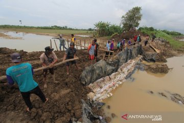 Perbaikan tanggul sungai yang jebol akibat banjir di Indramayu