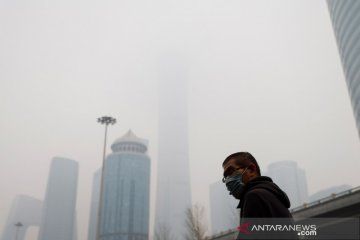 Polusi udara bunuh ribuan orang di kota besar meski ada "lockdown"