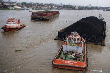 Harga batubara acuan naik