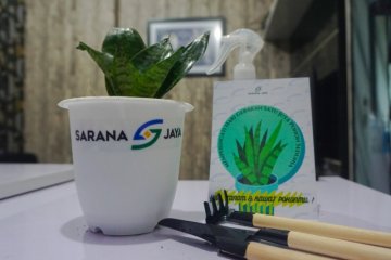 Sarana Jaya berbagi 2021 tanaman rayakan Hari Sejuta Pohon