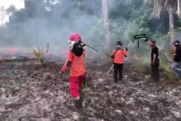 17,5 ha lahan Taman Nasional Rawa Aopa Watumohai sepekan terbakar