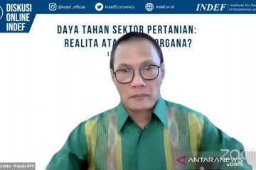 Pertanian tumbuh positif, BPS catat NTP 2020 hanya naik tipis