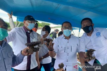 Komisi IV DPR ke Bali, KPKHN diharapkan tak rusak ekosistem laut