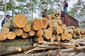 Produksi kayu bulat Jawa Timur