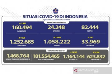 Kasus positif COVID-19 pada 18 Februari bertambah 9.039 jadi 1.252.685