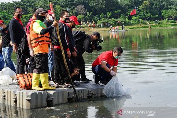 Hasto: PDIP segera luncurkan satgas lingkungan jaga sungai