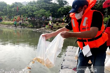 Tebar benih ikan, Djarot: Gerakan politik hijau PDIP