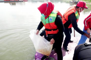 Wasekjen PDIP soroti fungsi waduk di Jakarta belum maksimal