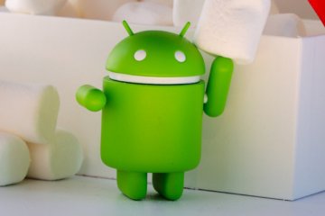 Android 12 versi pratinjau pengembang isyaratkan kehadiran Pixel 6 XL?