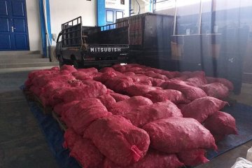 BC Langsa gagalkan penyelundupan 103 karung bawang merah impor