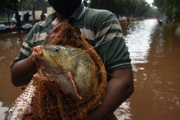 Hasil Menjala di Ruas Tol