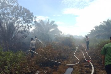 BPBD sebut kebakaran hutan empat daerah di Sumbar efek cuaca panas