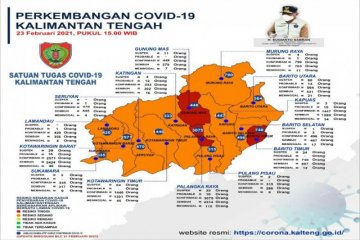 Tiga daerah di Kalteng zona merah COVID-19, sebut satgas