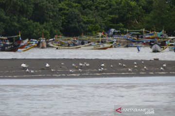 Unej berpartisipasi dalam Asian Waterbird Cencus Indonesia 2021