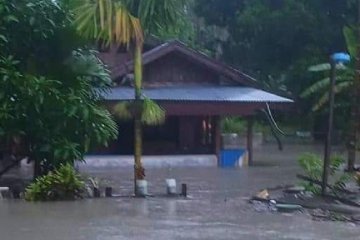 Hujan deras, rumah warga kampung dan SDN Kaptiau Sarmi-Papua banjir