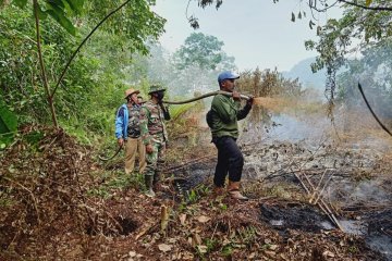 Luas lahan yang terbakar di Riau mencapai 248 hektare