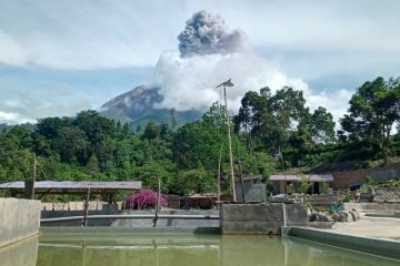 Guguran abu Gunung Sinabung teramati dengan jarak luncur 1.500 meter