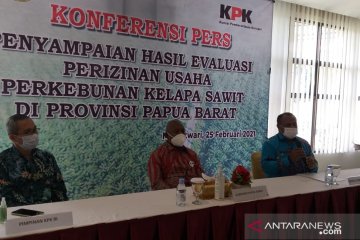 Pemprov Papua Barat-KPK evaluasi izin perkebunan kelapa sawit