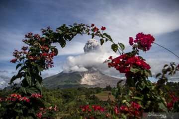 Ketinggian erupsi Gunung Sinabung Karo teramati mencapai 1.000 meter