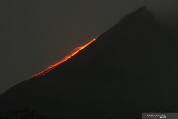 Guguran lava pijar Gunung Merapi