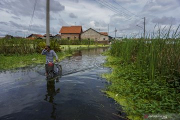 Kabupaten Pekalongan masih terendam banjir