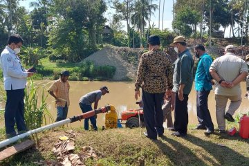 800 hektare sawah di Aceh Besar kekeringan