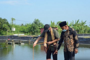 Menkop Teten harapkan tambak udang Dipasena berjaya kembali