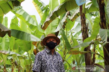 Menkop minta Lampung jadi model percontohan koperasi kemitraan