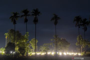 Foto Cerita : Menerangi Perkebunan Buah Naga