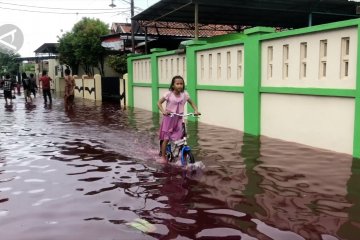 Banjir Pekalongan meluas, 4 Kecamatan terendam