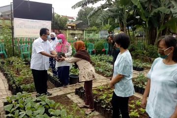 Dukung wanita tani Tangerang, Pemkot bagikan 30.000 bibit tanaman