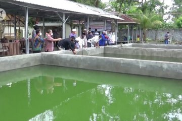 BI Kalsel dukung pengembangan jaringan bisnis pesantren