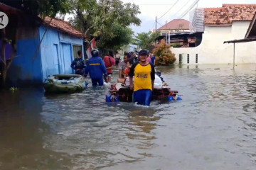 Jasa angkut kendaraan di tengah banjir Pekalongan