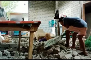 Sebanyak 222 bangunan rusak akibat gempa di Halmahera Selatan