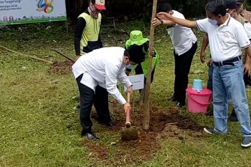 Antisipasi banjir, Pemkot Tangerang tanam 2.800 pohon