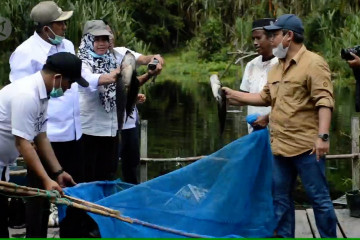 Memanen manfaat dari menjaga kawasan Danau Zamrud