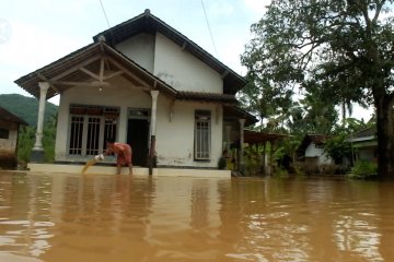 Potensi banjir di Jember sangat tinggi