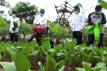 Wali Kota Tangerang bagikan hasil panen Eco Farm Cisadane