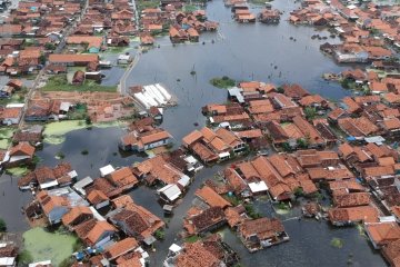 Banjir rob di Pekalongan rendam 16 kelurahan