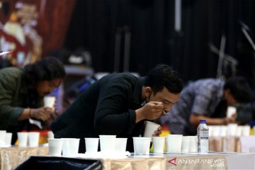 Lomba Cicip Kopi di Banda Aceh