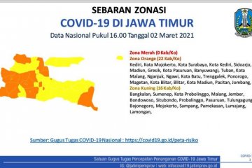 Sebanyak 16 daerah di Jatim masuk zona kuning kasus COVID-19