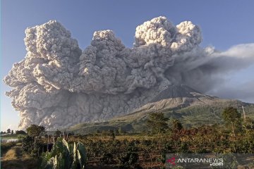 Abu vulkanik erupsi Gunung Sinabung sampai ke Aceh