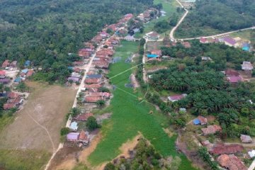 Kanal kuno Muarajambi dipenuhi gulma